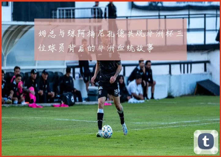 姆总与琼阿梅尼孔德共观非洲杯三位球员背后的非洲血统故事