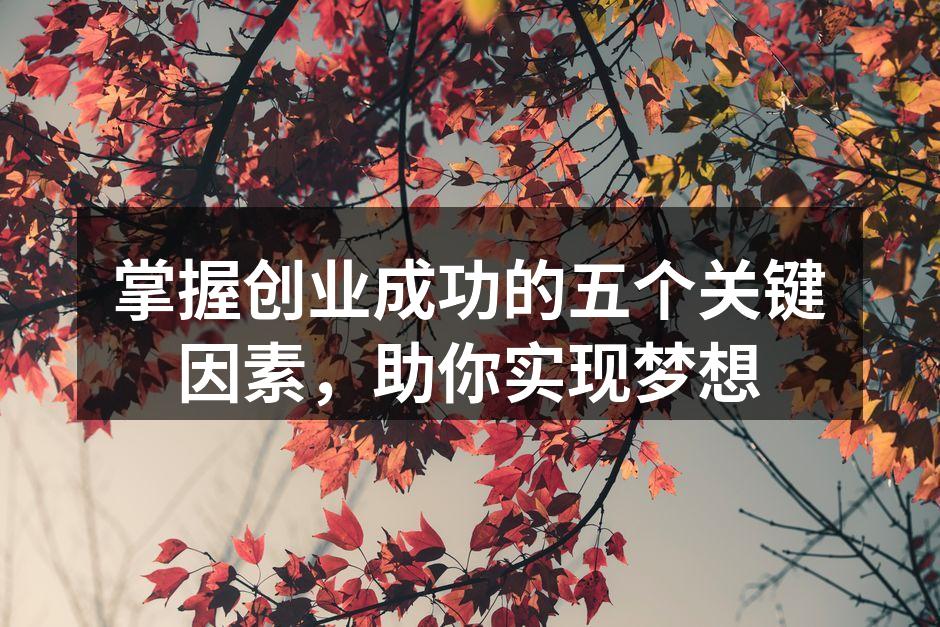 掌握创业成功的五个关键因素，助你实现梦想