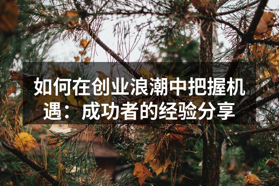 如何在创业浪潮中把握机遇：成功者的经验分享